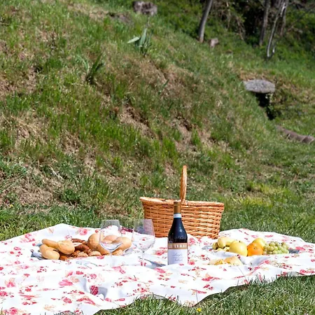 Bed & Breakfast La Corte And Restaurant - Free Parking - 10 Minutes To The And Centre *
