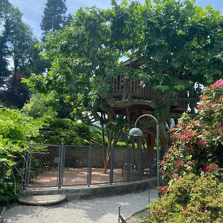Luxury tent Dream Tree House *