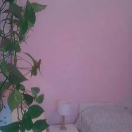 Art House Guest house *