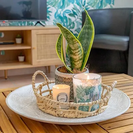 Rio's Cozy In The Heart Of Apartment Como