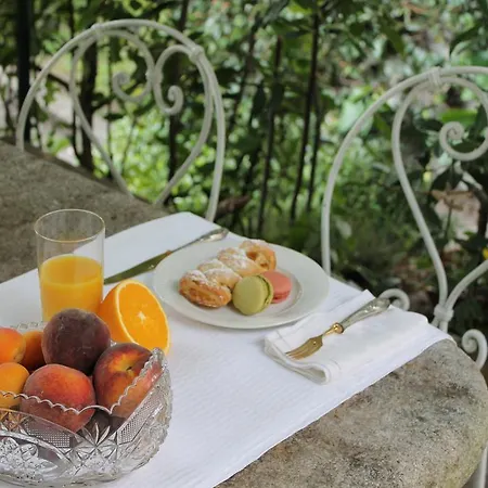 Le Camelie Couette-café
